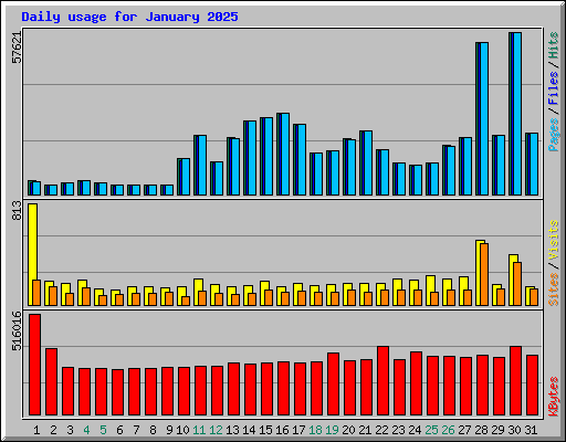 Daily usage for January 2025