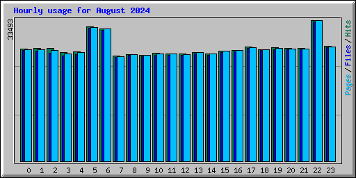 Hourly usage for August 2024