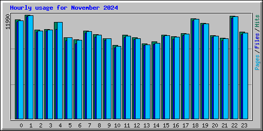 Hourly usage for November 2024