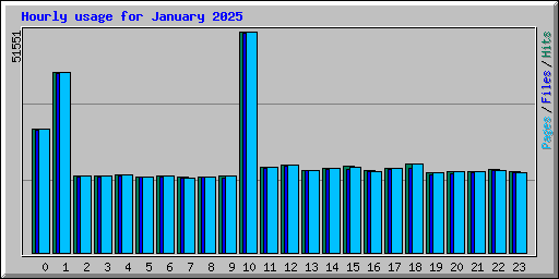 Hourly usage for January 2025