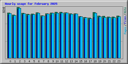 Hourly usage for February 2025
