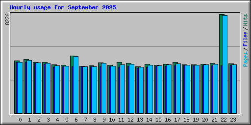 Hourly usage for September 2025