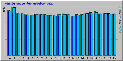 Hourly usage for October 2025