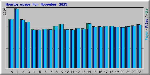 Hourly usage for November 2025