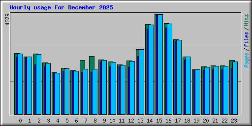 Hourly usage for December 2025